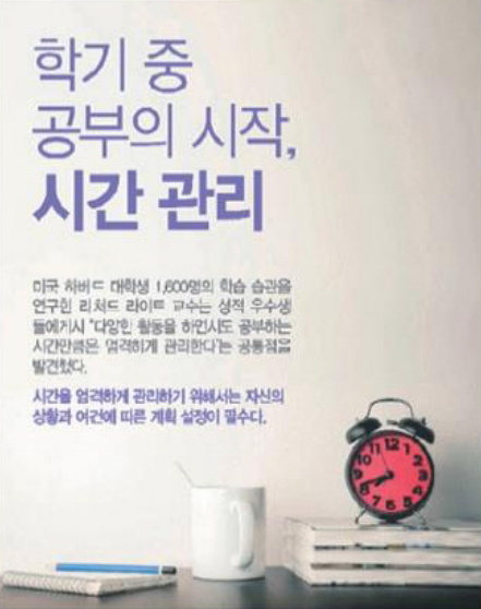 카드뉴스
